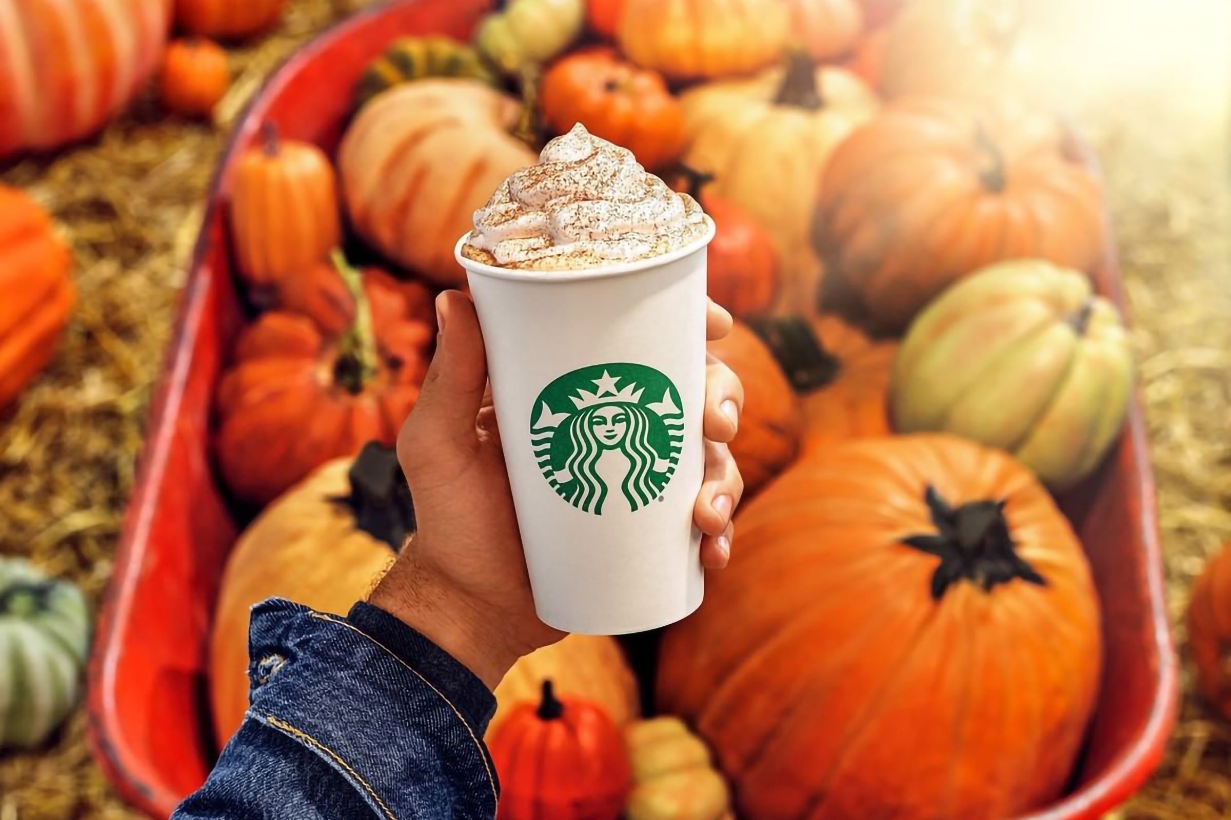 When Does the Pumpkin Spice Latte Come Out? [Updated 2023]