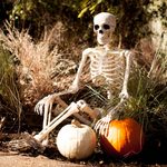 27 Spooky, Seasonal and Downright Scary Halloween Decorations