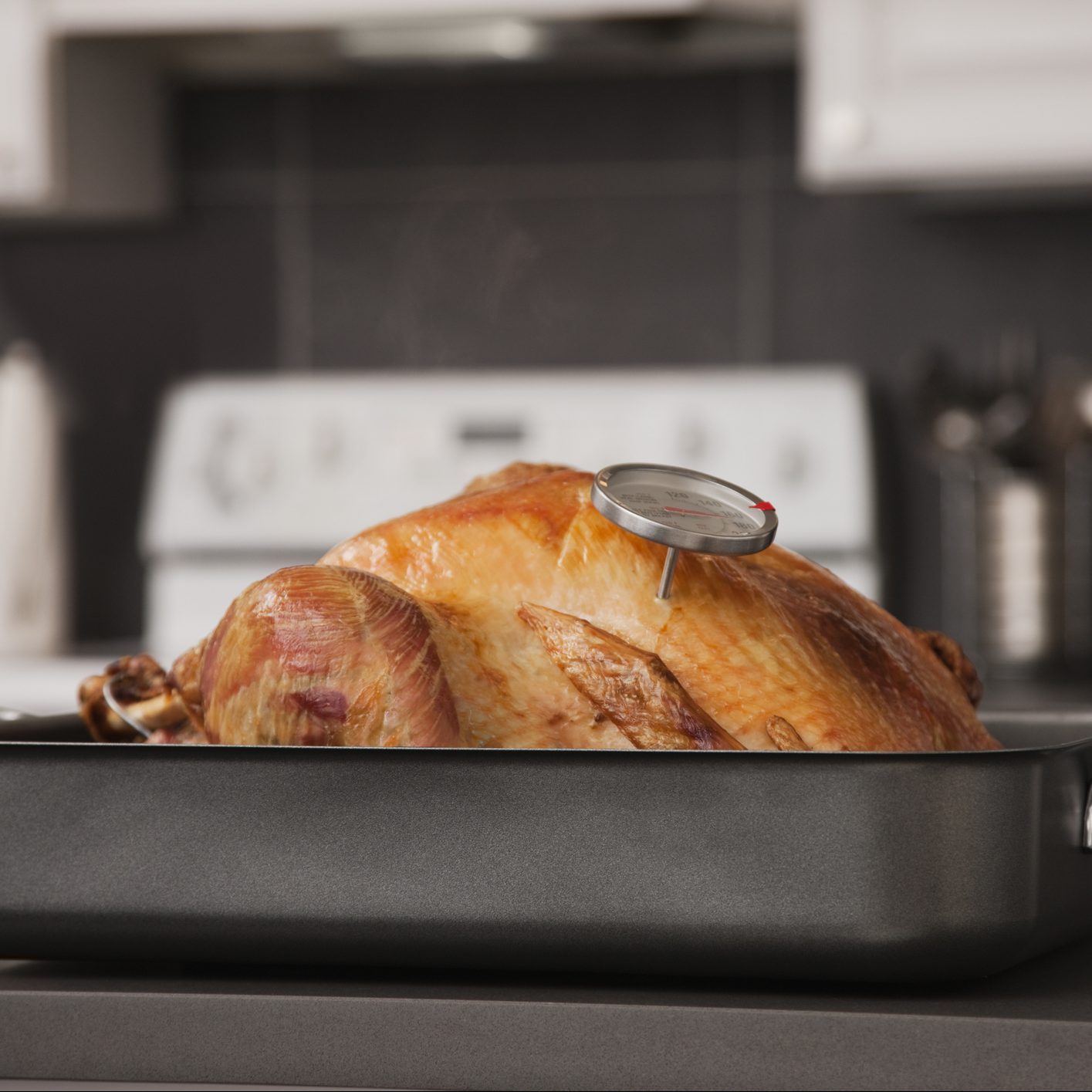 Turkey in roaster with meat thermometer