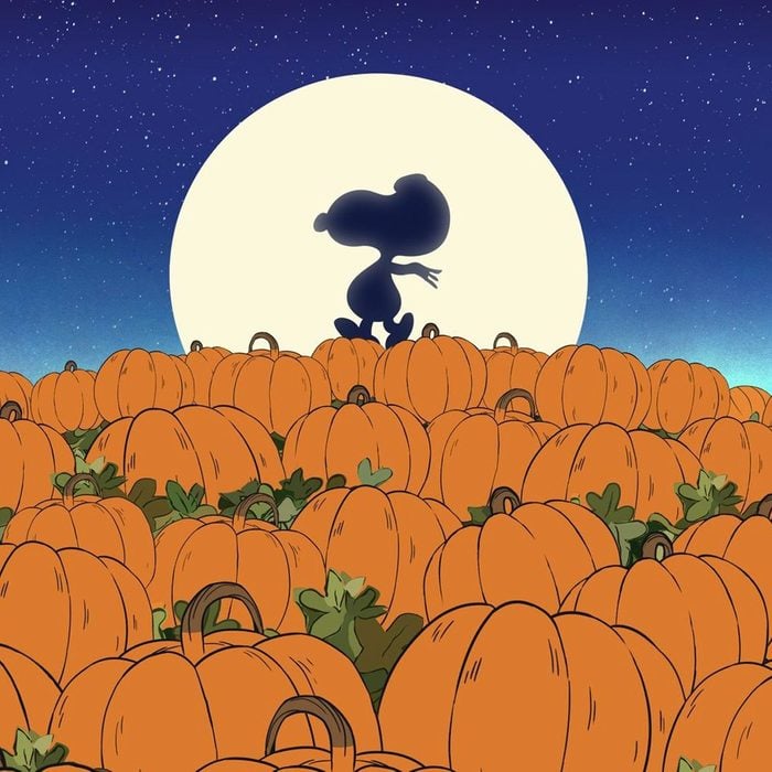 It's The Great Pumpkin, Charlie Brown Poster
