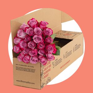 Bloomsy Box Flower Delivery