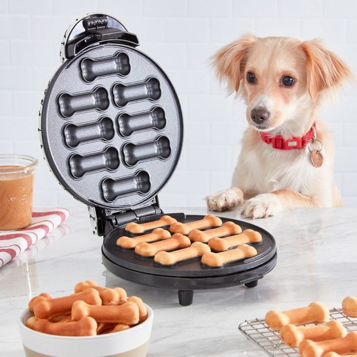 Dash Dog Treat Maker Ecomm Via Amazon.com