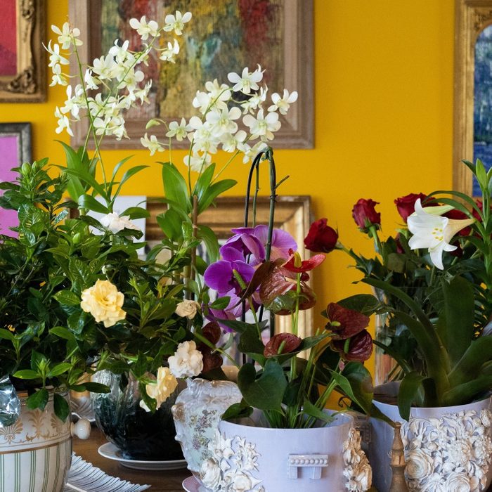 Orchid And Tall Flowers Via Huntslonem Instagram