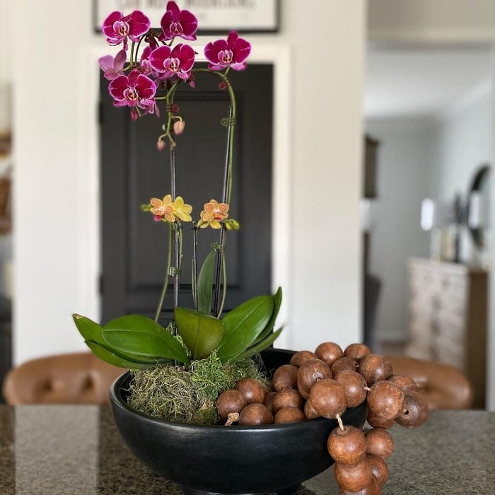 Orchid Arrangement Via The Staged Life Instagram