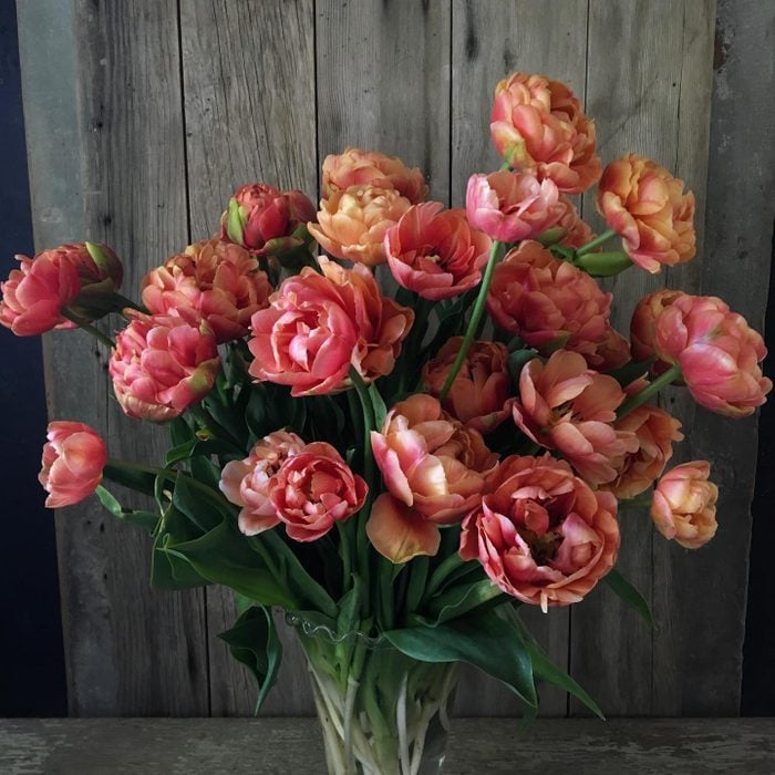 Tulip Bouquet Ecomm Via Floretflower Instagram