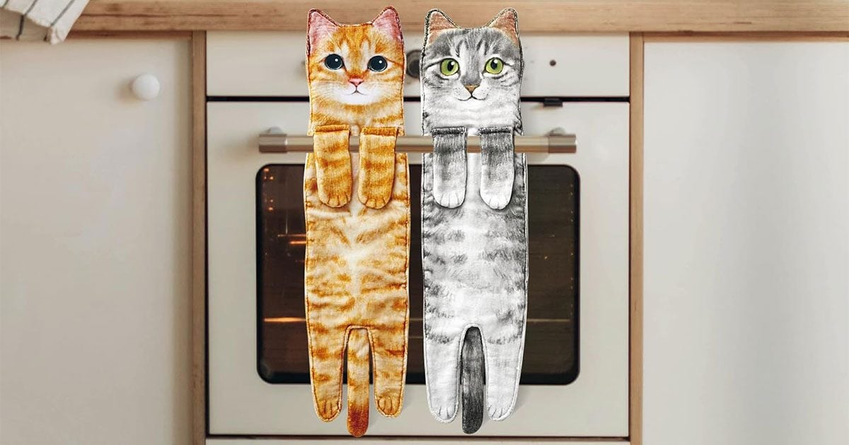 https://www.tasteofhome.com/wp-content/uploads/2022/10/Cat-Funny-Hand-Towels-for-Bathroom-Kitchen_ecomm_via-amazon.com_Social.jpg