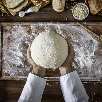 Artisanal bakery: Artisan Chef Hands kneading dough