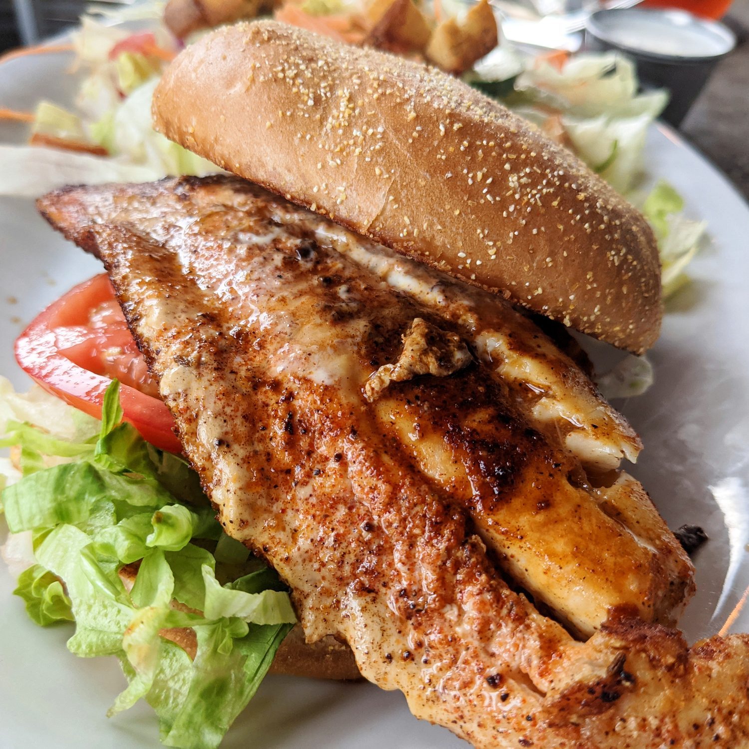 blackened halibut sandwich with lettuce and tomato