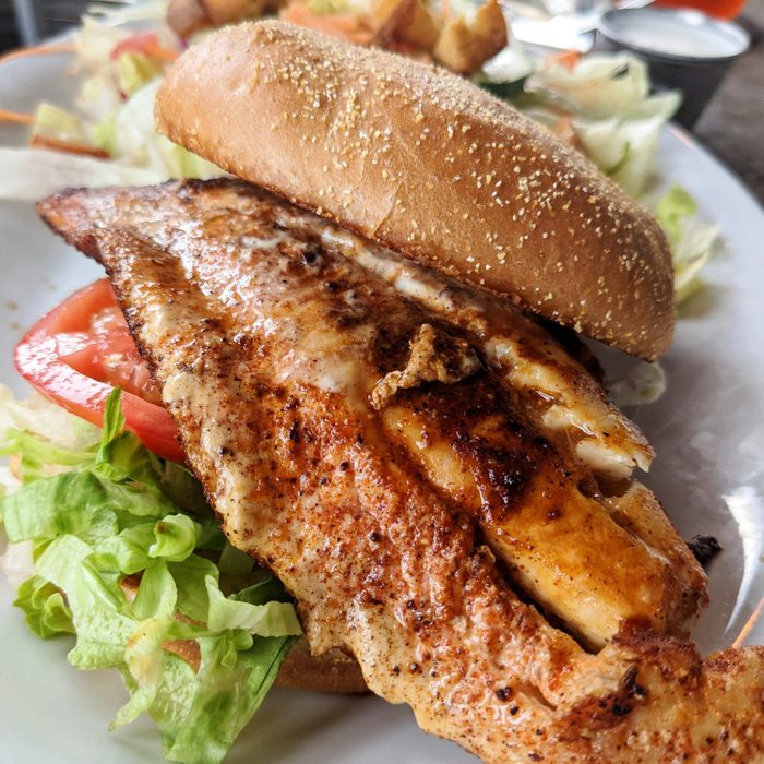 blackened halibut sandwich with lettuce and tomato