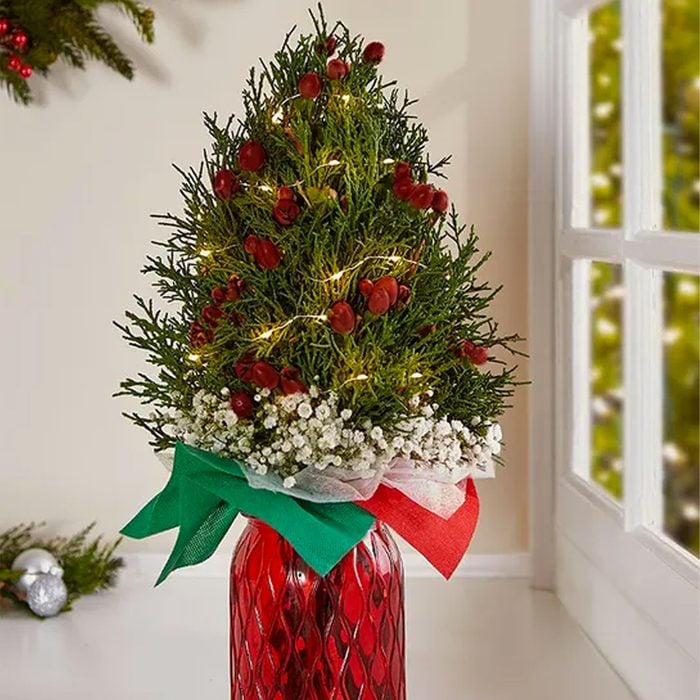 Hand Tied Mini Christmas Tree Bouquet Ecomm 1800flowers.com