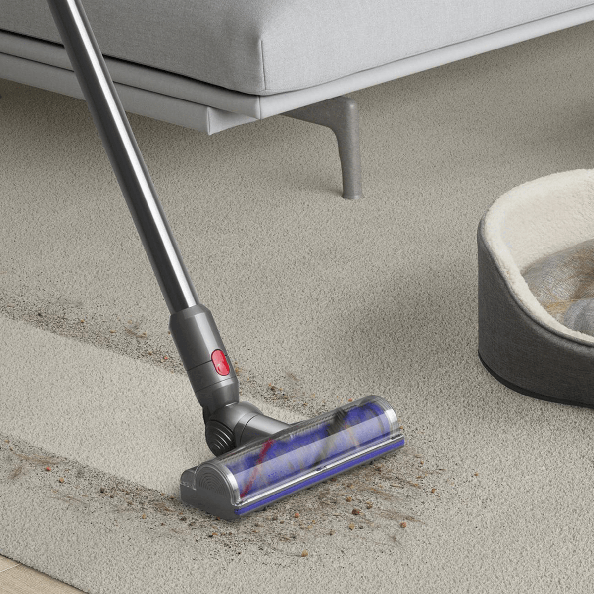 The 6 Best Carpet Cleaners of 2023