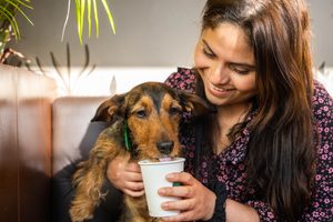 Is the Starbucks Puppuccino Safe for Dogs?
