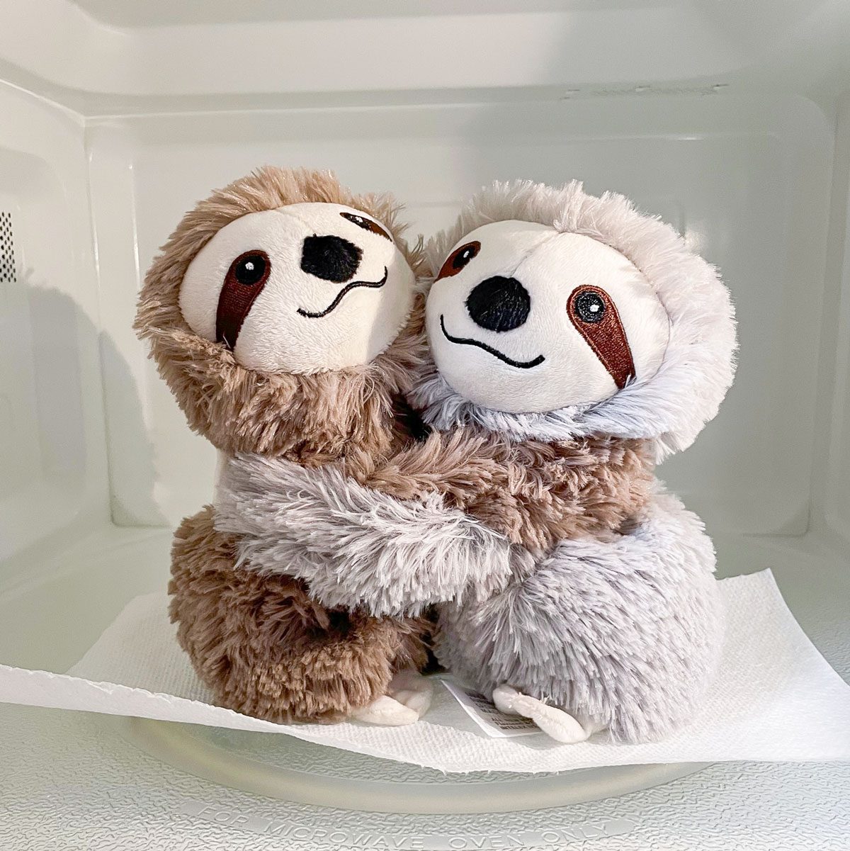 Warmies sloth hugs in microwave