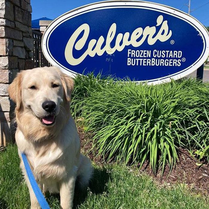 Culvers Dog 