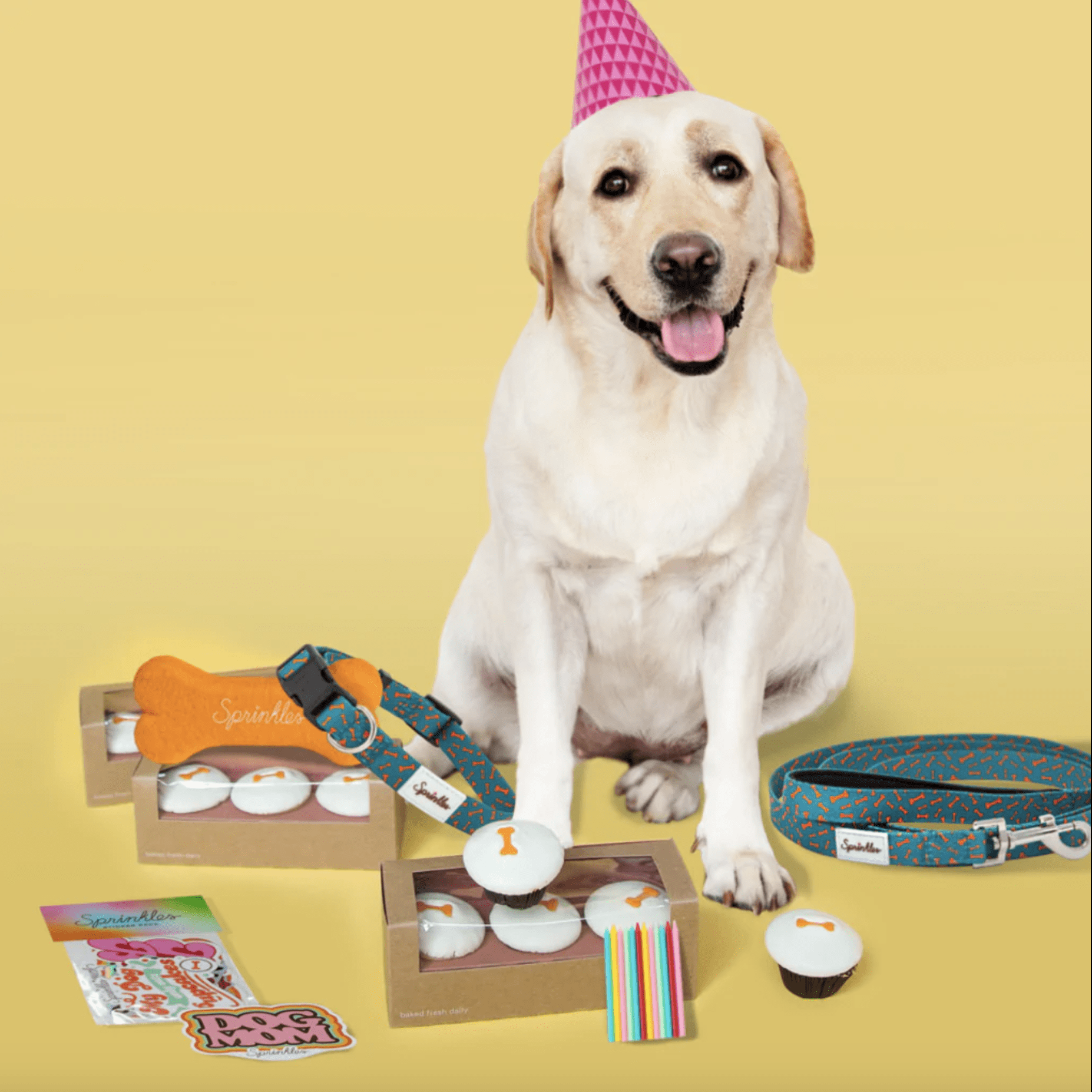 https://www.tasteofhome.com/wp-content/uploads/2022/11/dog-with-spinkles-cupcakes-e1668454731843.png?fit=700%2C700