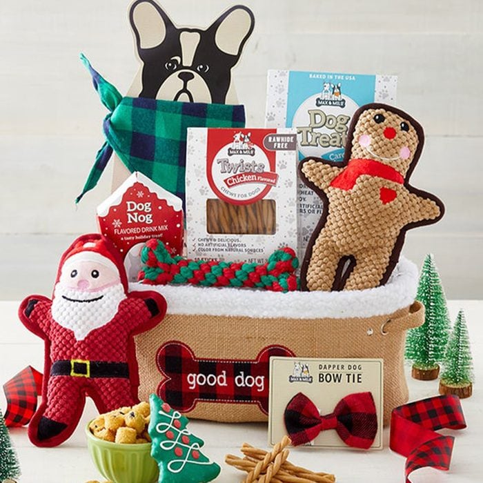 Holiday Dog Paw Print Gift Basket