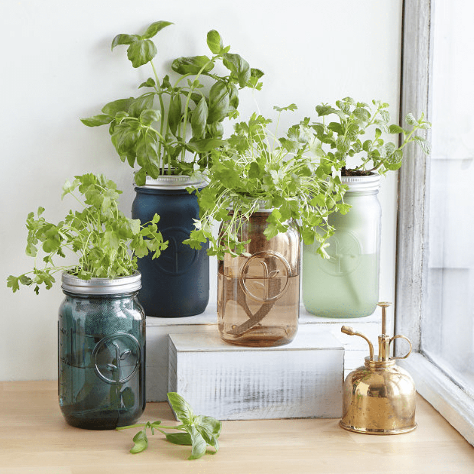Mason Jar Indoor Herb Garden Ecomm Via Uncommongoods