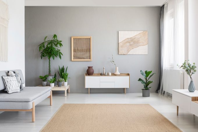 Nordic style living room interior with fresh plants, white cupboard, window with drapes, grey sofa and big carpet on the floor