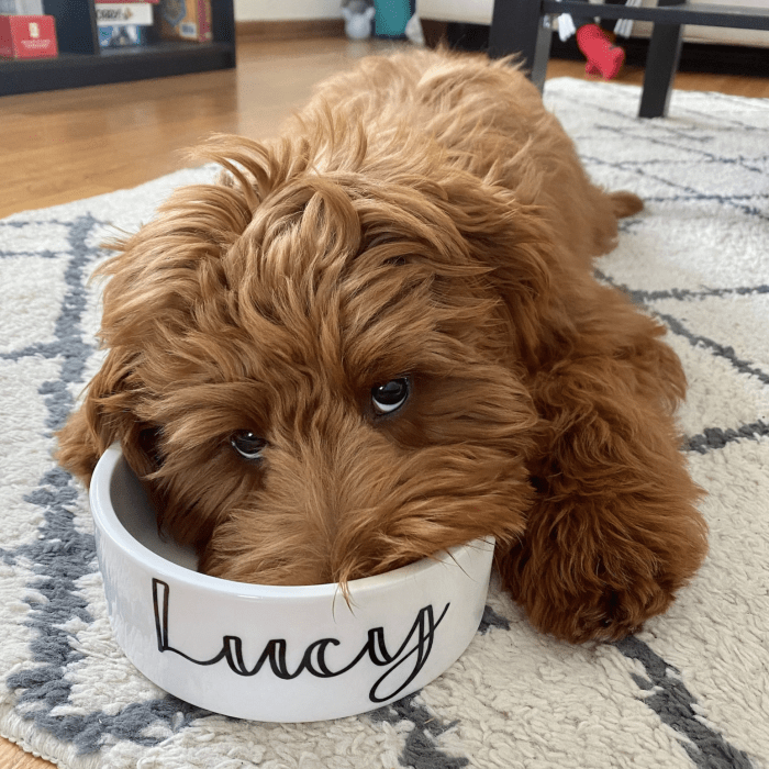Unique Gift Ideas for Dog Lovers and Owners 2020 - hello emily erin