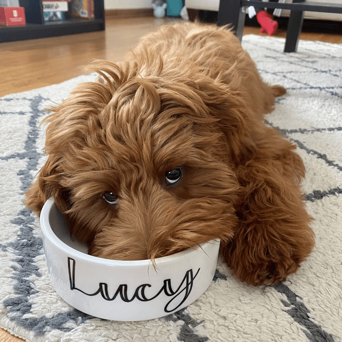 https://www.tasteofhome.com/wp-content/uploads/2023/02/personalized-dog-bowl-ecomm-via-etsy-ft-e1676584468192.png?fit=700%2C700