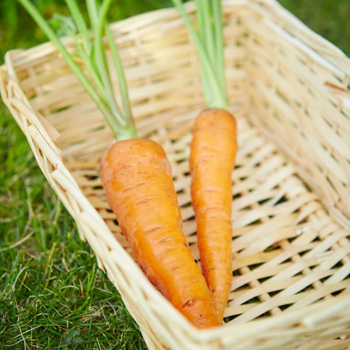 carrots in a basket in the grass easter game