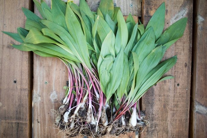 a bunch of Wild ramps on a wooden surface