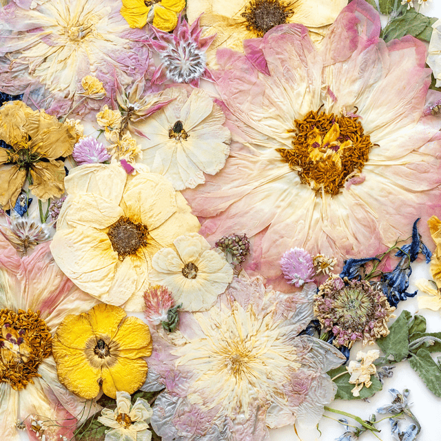 Pressed Floral Bouquet Preservation