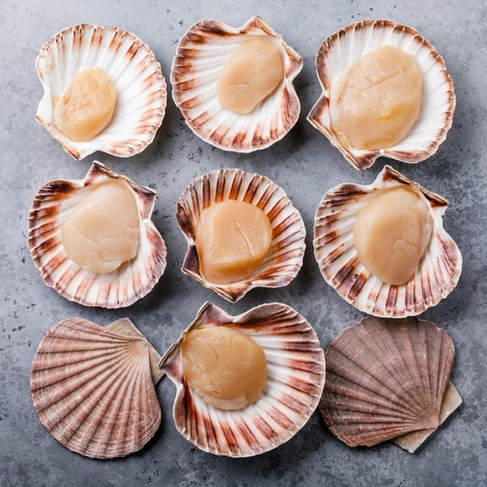 raw Scallops In the shell