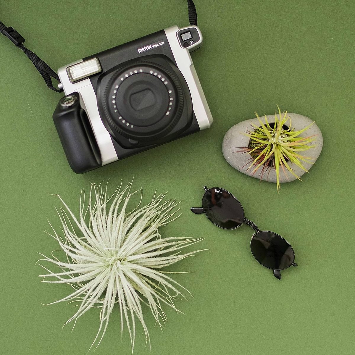 20 Types Of Air Plants That Will Brighten Your Home With Barely Any Work