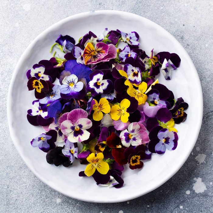 Edible flowers, field pansies, violets on white plate. Grey background. Close up. Top view.