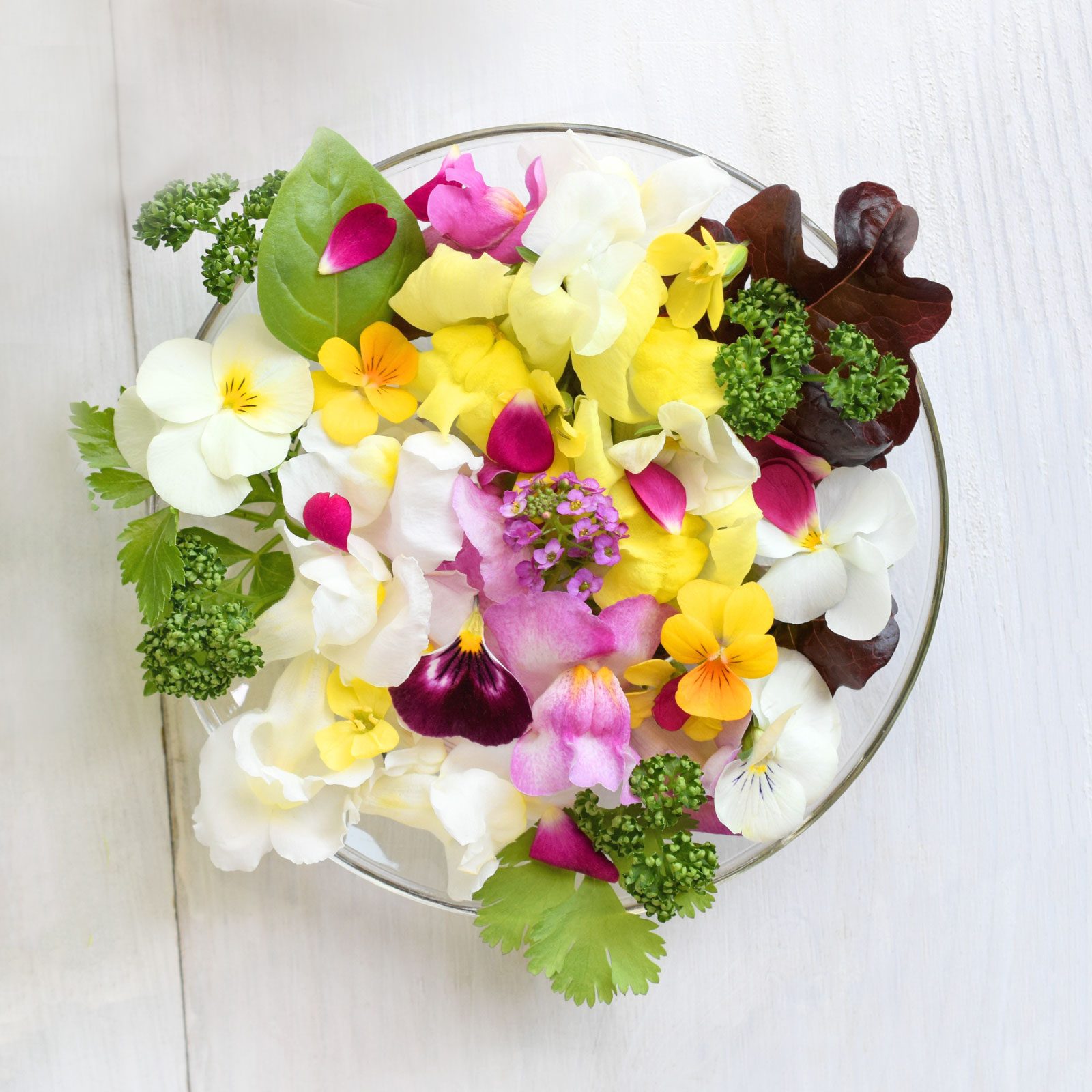 Edible Flowers List For Use in Cooking and Garnishing