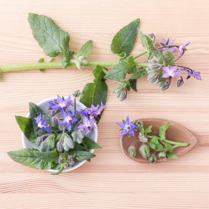 top view of Bowl and wooden spoon with Borage on a wooden background