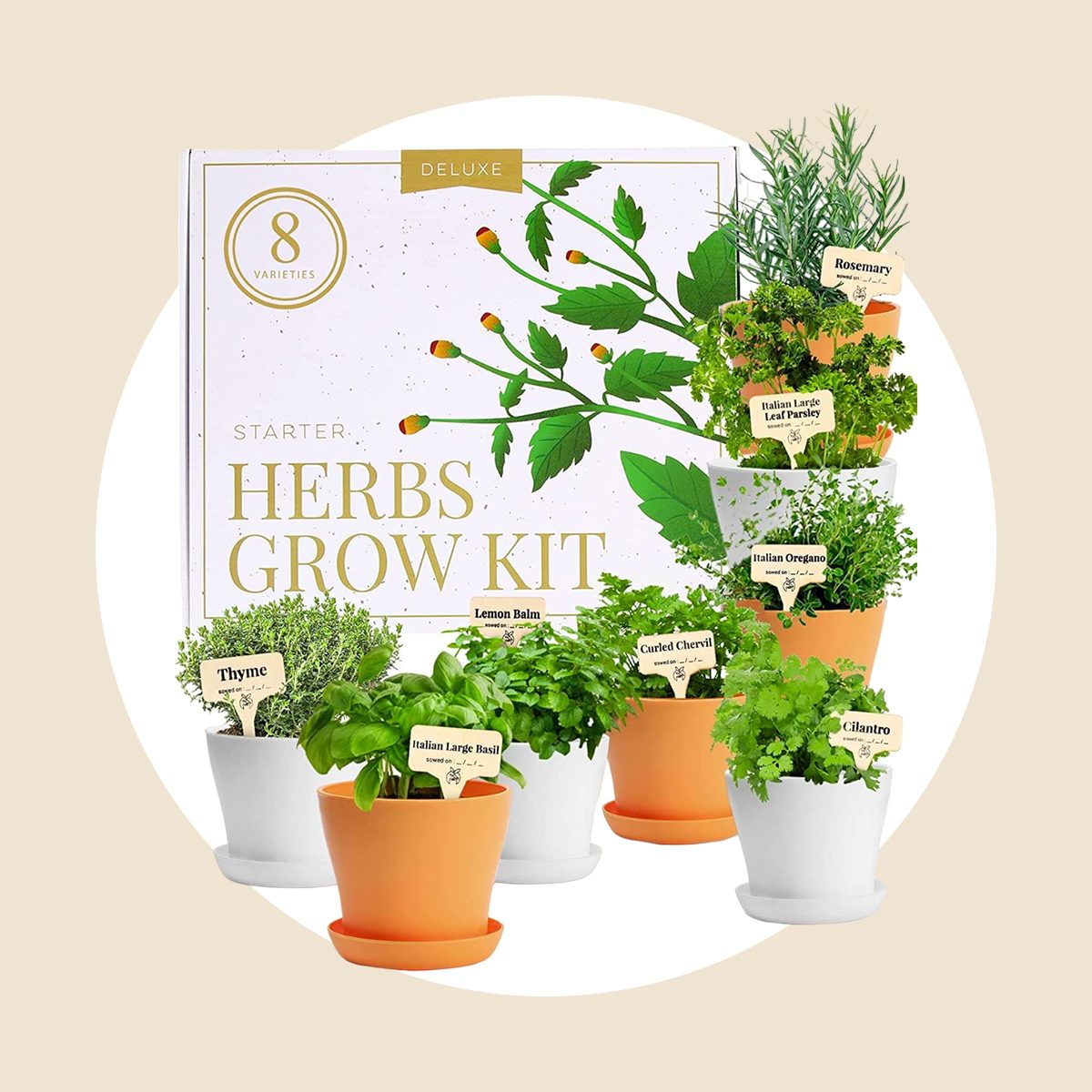 Deluxe Herb Garden Kit
