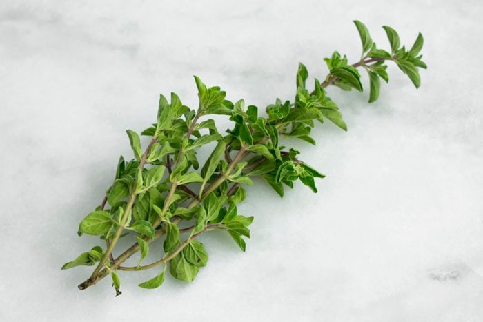 Sprig of Oregano on a Marble Background