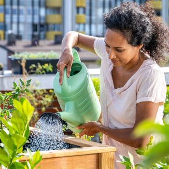 Woman watering her plants