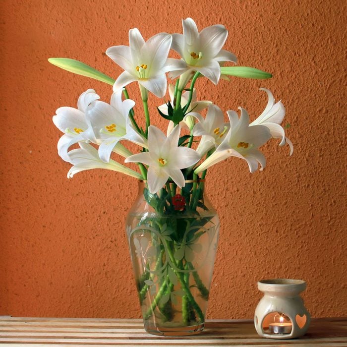 Easter Lilies In A Glass Flower Vase