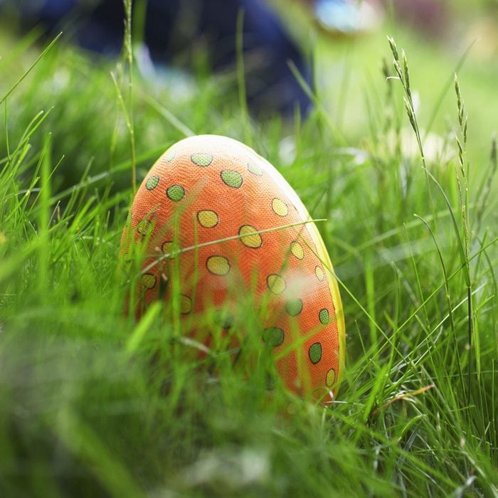 Easter Egg Hidden In Grass