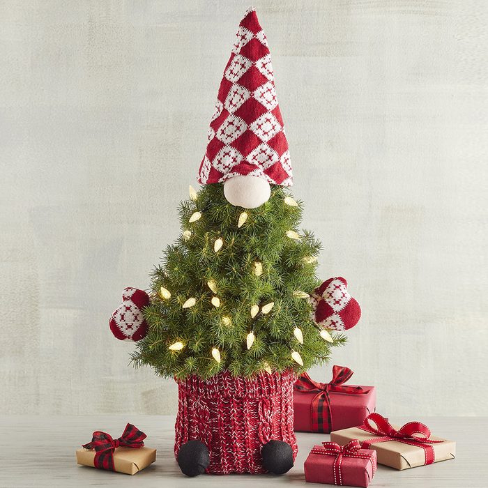 Spruce Christmas Tree Gnome