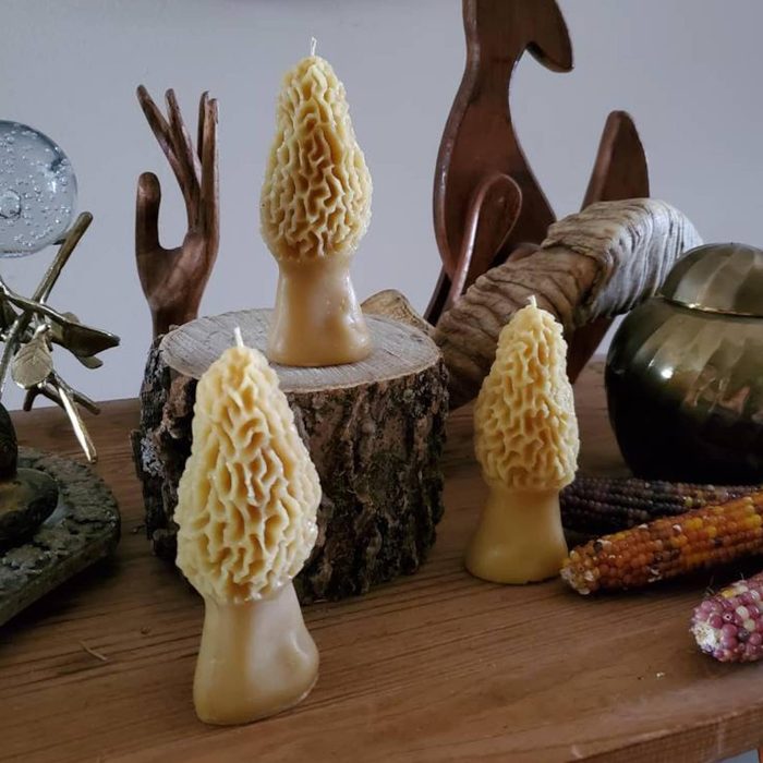 Morel Mushroom Candle