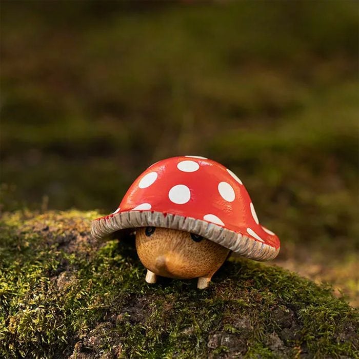 Mushroom Garden Hedgehog