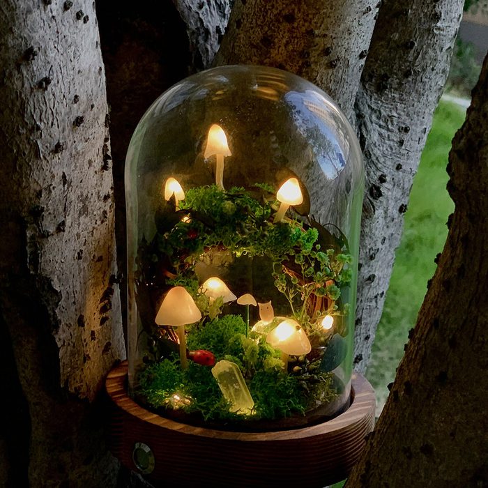 Mushroom Night Light