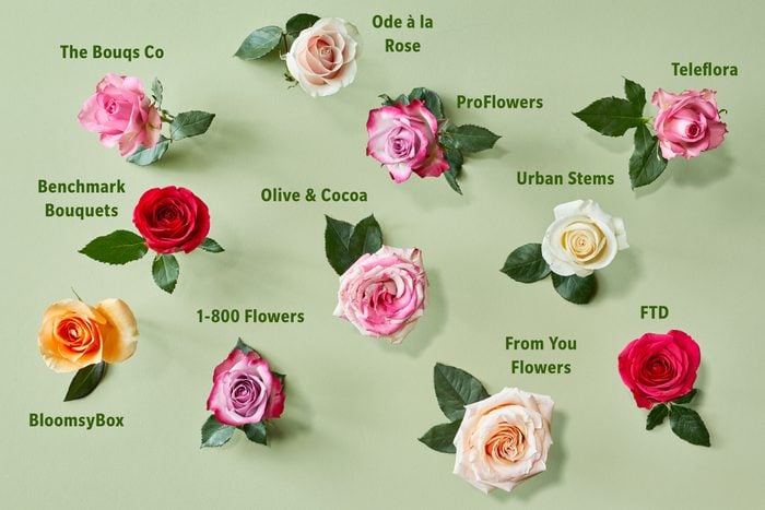 An Image of some Roses from Different Flower Delivery Services with Labels on it and Green Background. The Best Flower Delivery Services In 2024