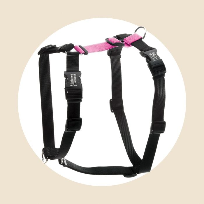 Adjustable Harness Ecomm Via Amazon.com