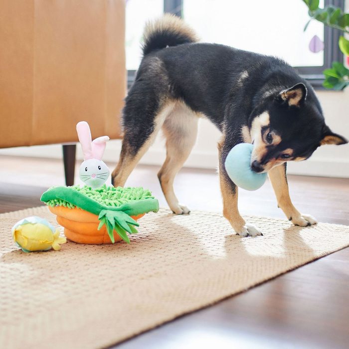 Dog Easter Basket Toy