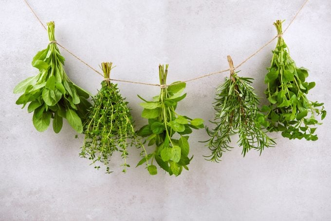 herbs hanging and Drying