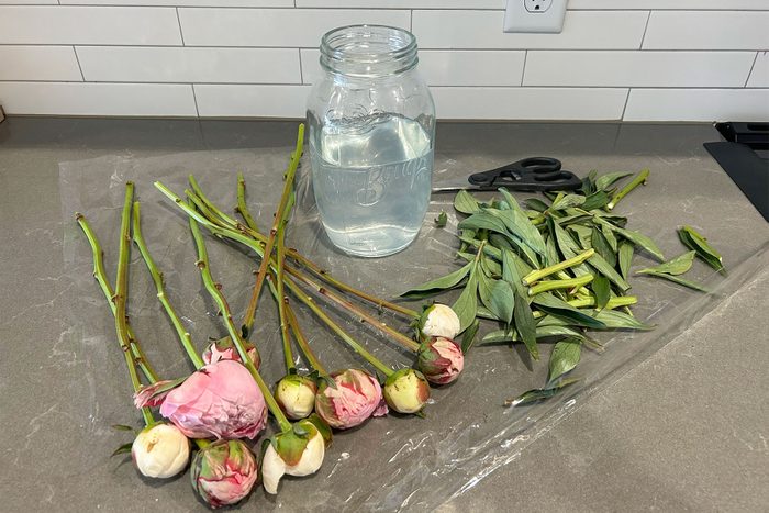 Flowers lying out on counter with a jar full of water