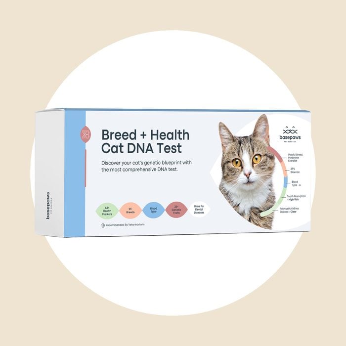 Breed + Health Cat Dna Test