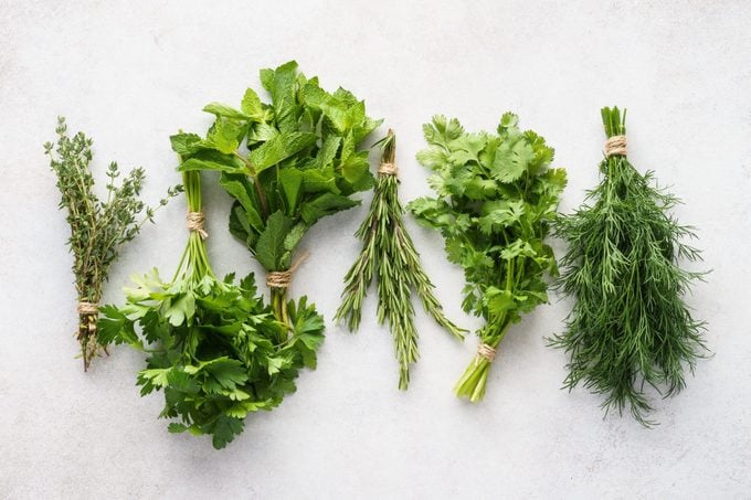 Different fresh herbs on gray background. Healthy ingredients.