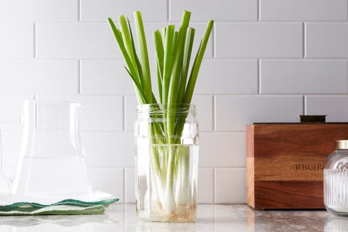 green onions stored in water on a kitchen counter