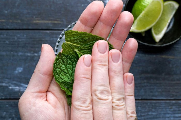 mint leaves in hands